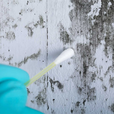 Water Damage Assessments